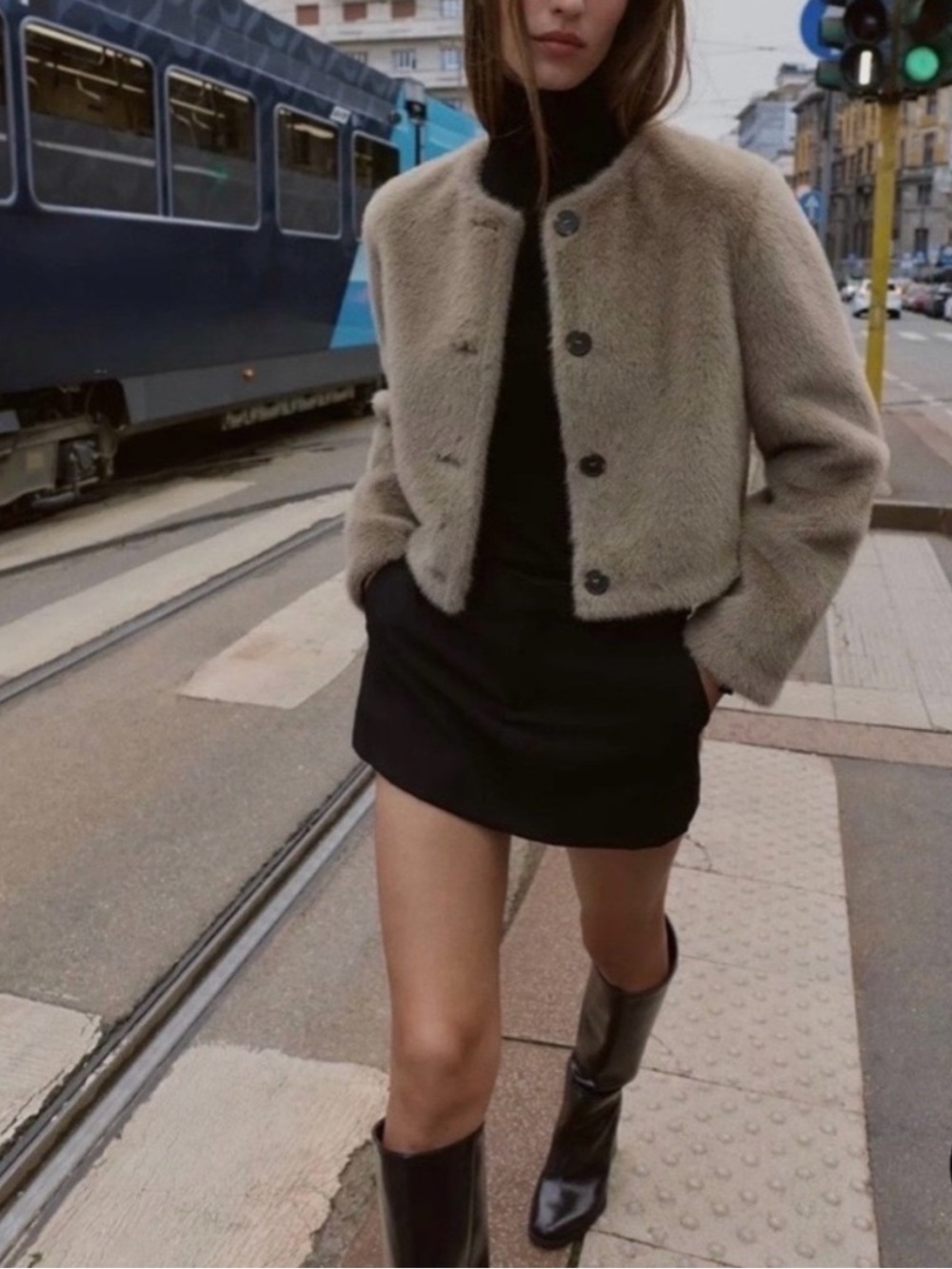 ZARA Faux Fur Collarless Cropped Jacket - Picture 6 of 12